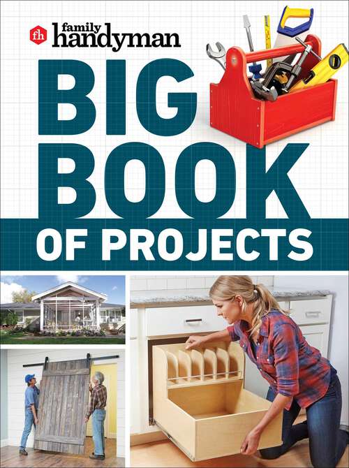 Book cover of Family Handyman Big Book of Projects