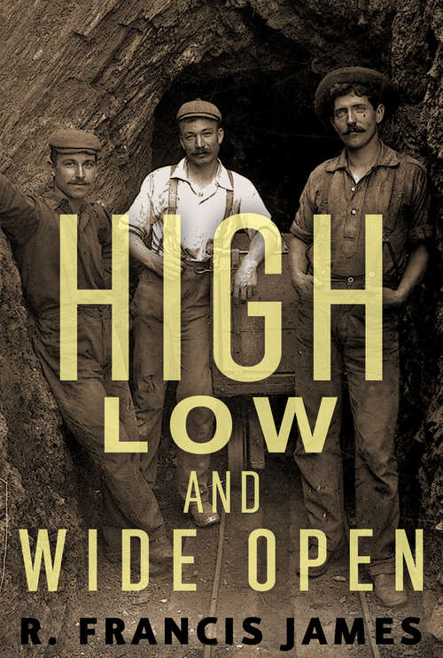 Book cover of High, Low and Wide Open