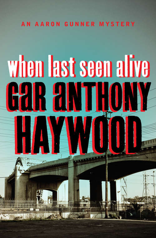Book cover of When Last Seen Alive
