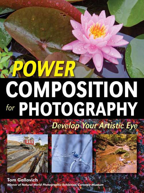 Book cover of Power Composition for Photography