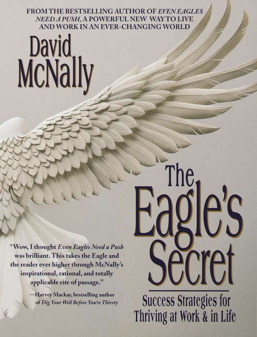 Book cover of The Eagle's Secret