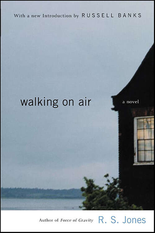 Book cover of Walking on Air: A Novel