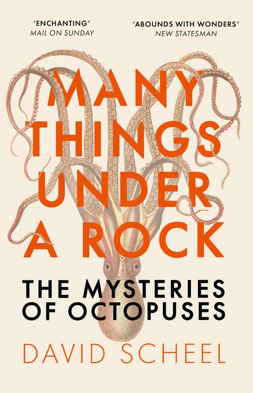 Book cover of Many Things Under a Rock: The Mysteries of Octopuses