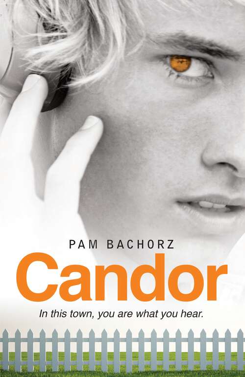 Book cover of Candor