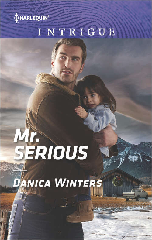 Book cover of Mr. Serious: Rough Rider Point Blank Seal Mr. Serious (Mystery Christmas #2)