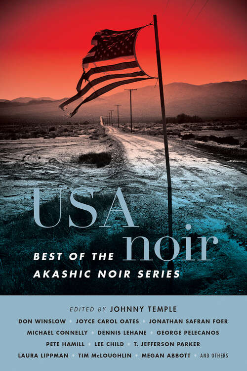 Book cover of USA Noir