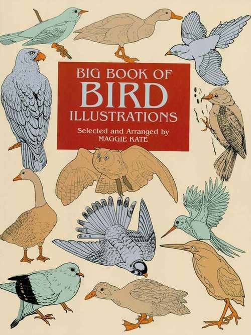 Book cover of Big Book of Bird Illustrations (Dover Pictorial Archive)