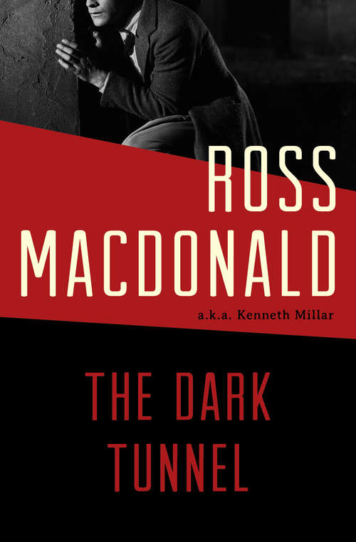 Book cover of The Dark Tunnel