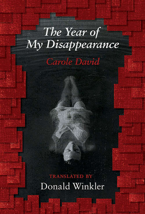 Book cover of The Year of My Disappearance