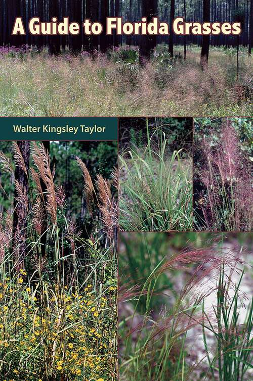 Book cover of A Guide to Florida Grasses