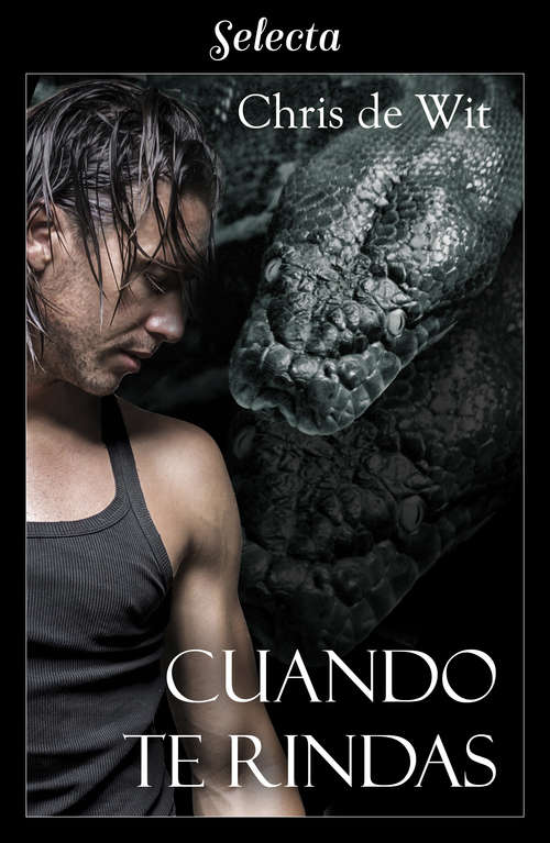 Book cover of Cuando te rindas (Los Silverwalkers: Volumen 3)