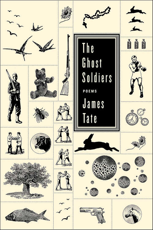 Book cover of The Ghost Soldiers: Poems