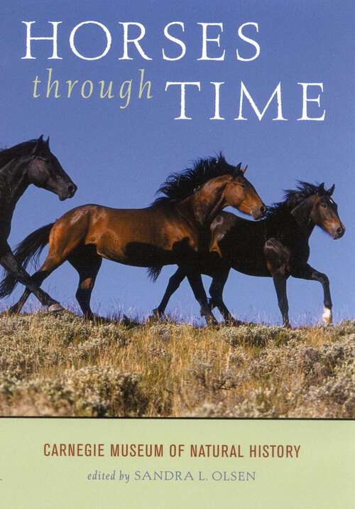 Book cover of Horses through Time