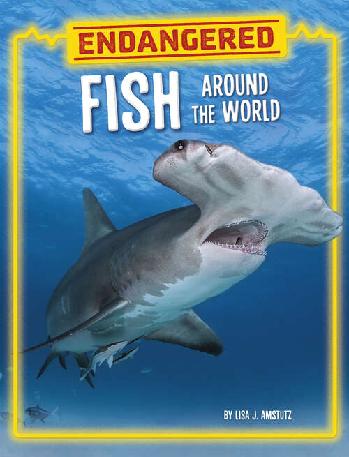 Book cover of Endangered Fish around the World (Endangered Animals Around The World Ser.)