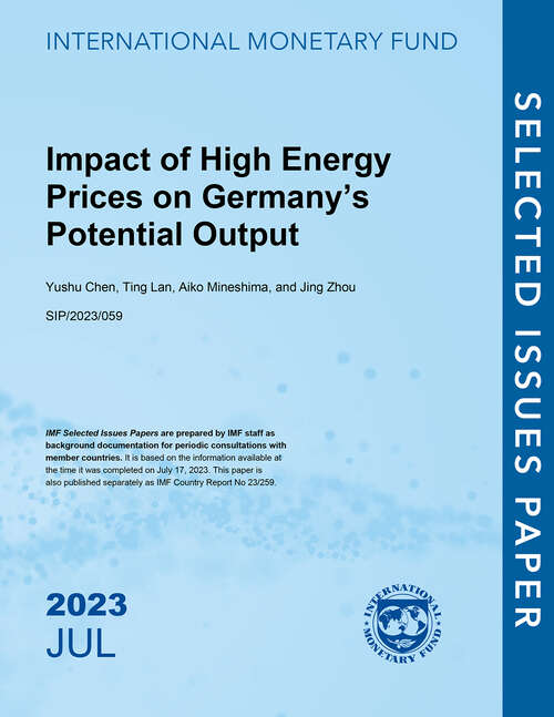 Book cover of Impact of High Energy Prices on Germany’s Potential Output