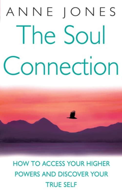 Book cover of The Soul Connection