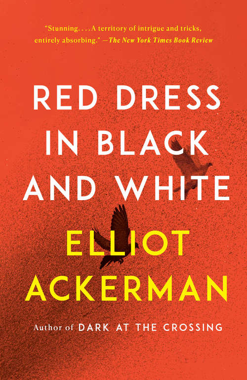 Book cover of Red Dress in Black and White: A novel
