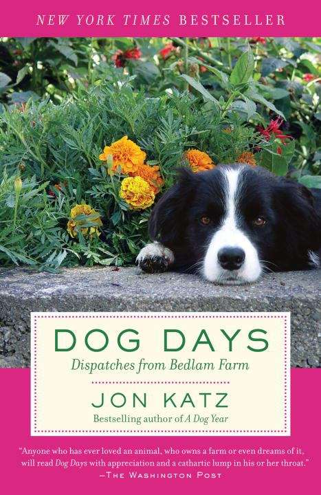 Dog Days: Dispatches from Bedlam Farm