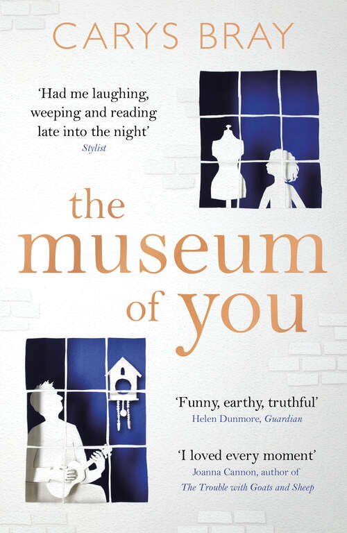 Book cover of The Museum of You