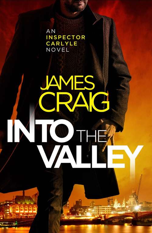 Into the Valley (Inspector Carlyle #14)