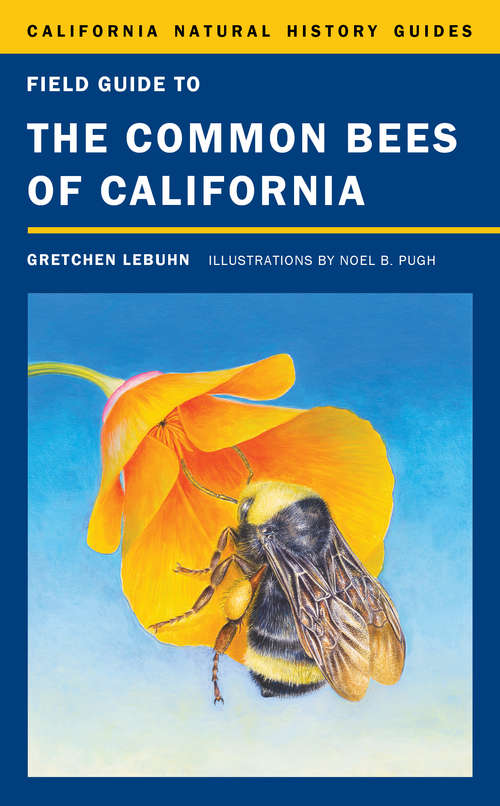 Book cover of Field Guide to the Common Bees of California