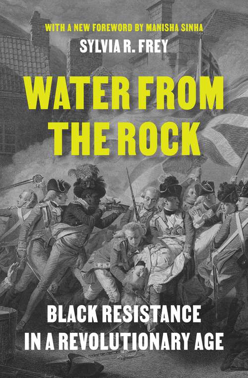 Book cover of Water from the Rock: Black Resistance in a Revolutionary Age