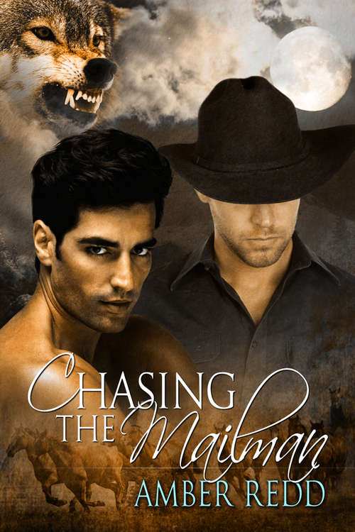 Book cover of Chasing the Mailman