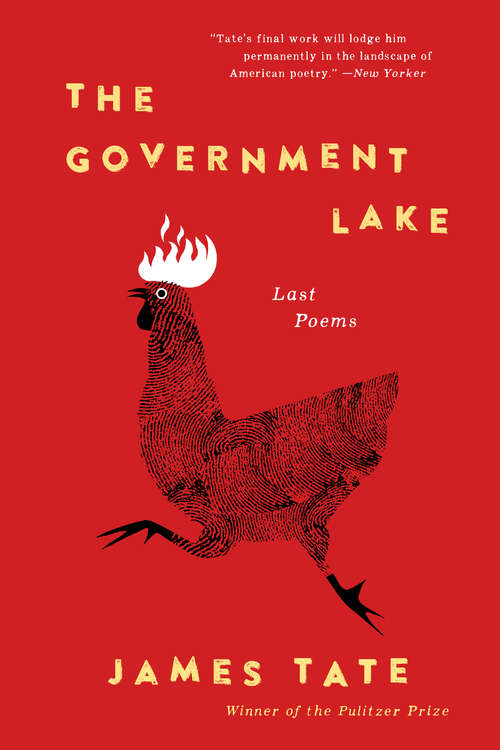 Book cover of The Government Lake: Last Poems