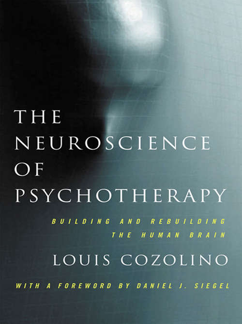 The Neuroscience of Psychotherapy: Healing the Social Brain (Second Edition)  (Norton Series on Interpersonal Neurobiology)