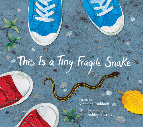 Book cover of This Is a Tiny Fragile Snake