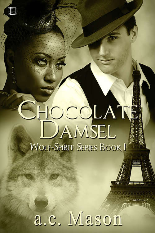 Book cover of Chocolate Damsel