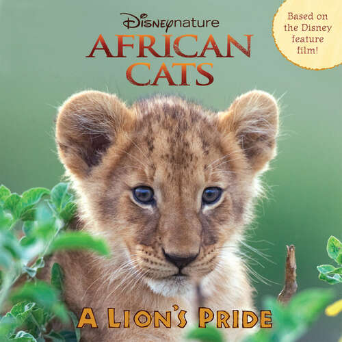 Book cover of African Cats: A Lion’s Pride