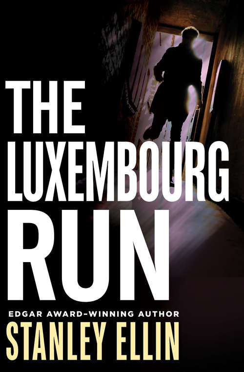 Book cover of The Luxembourg Run