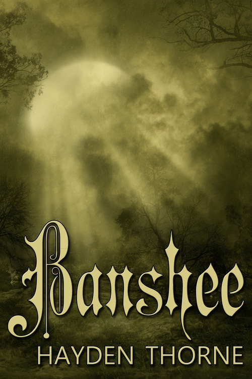 Book cover of Banshee