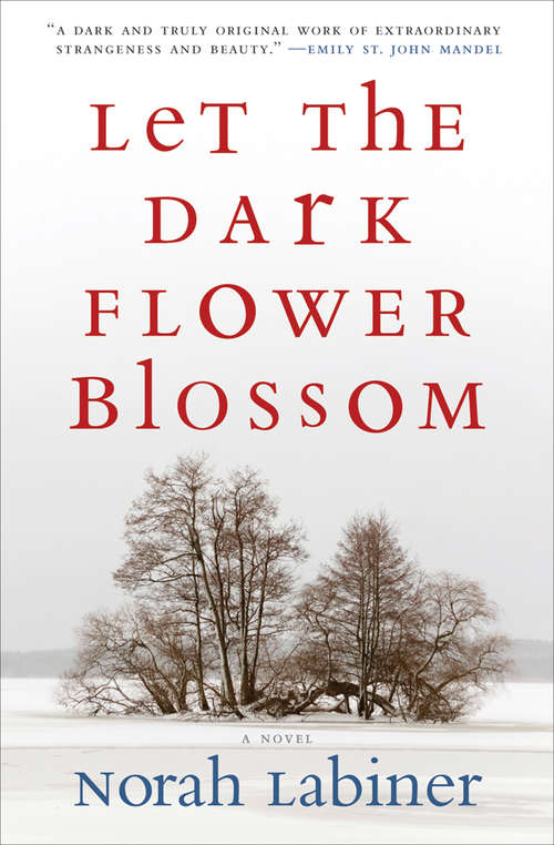 Book cover of Let the Dark Flower Blossom: A Novel
