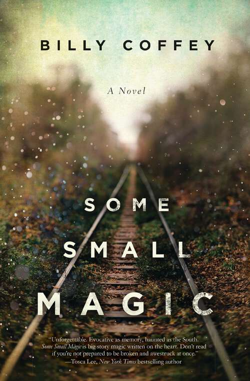 Book cover of Some Small Magic