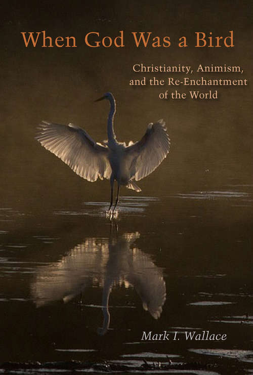 Book cover of When God Was a Bird: Christianity, Animism, and the Re-Enchantment of the World (Groundworks: Ecological Issues in Philosophy and Theology)