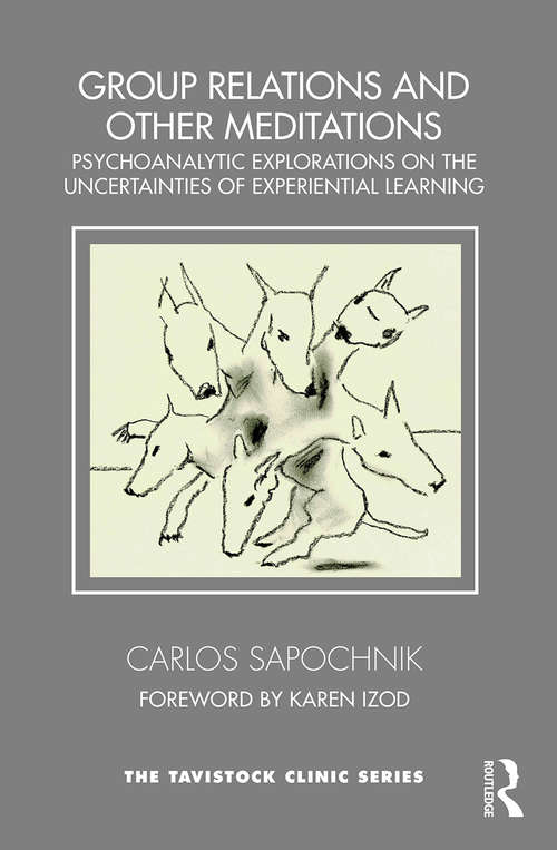 Book cover of Group Relations and Other Meditations: Psychoanalytic explorations on the uncertainties of experiential learning (Tavistock Clinic Series)