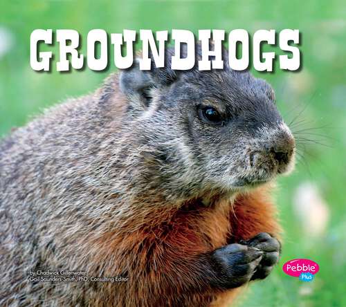 Book cover of Groundhogs (North American Animals Ser.)