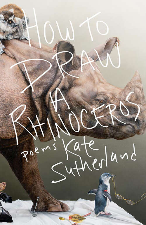 Book cover of How to Draw a Rhinoceros