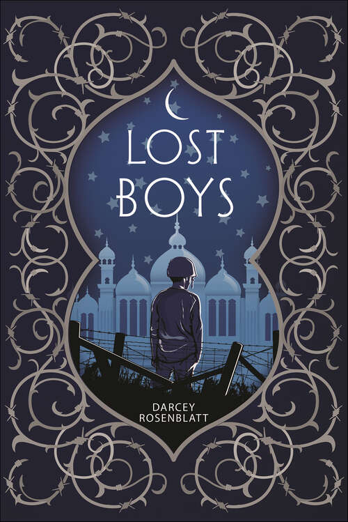 Book cover of Lost Boys