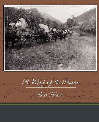 Book cover of A Waif of the Plains