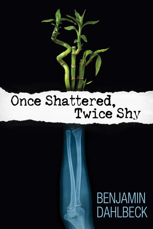 Book cover of Once Shattered, Twice Shy