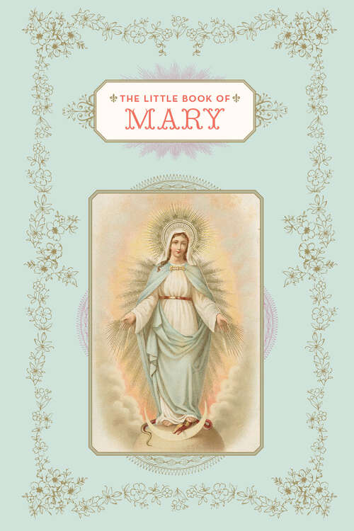 Book cover of Little Book of Mary