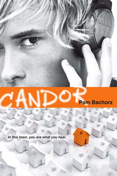 Book cover of Candor