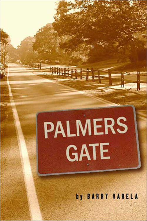 Book cover of Palmers Gate