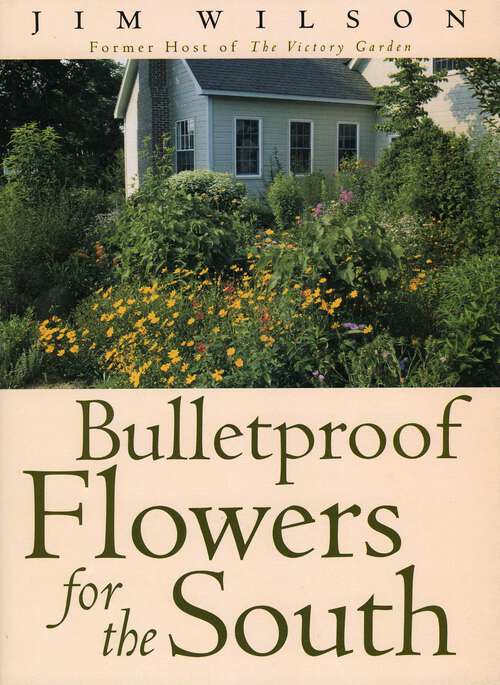 Book cover of Bulletproof Flowers for the South