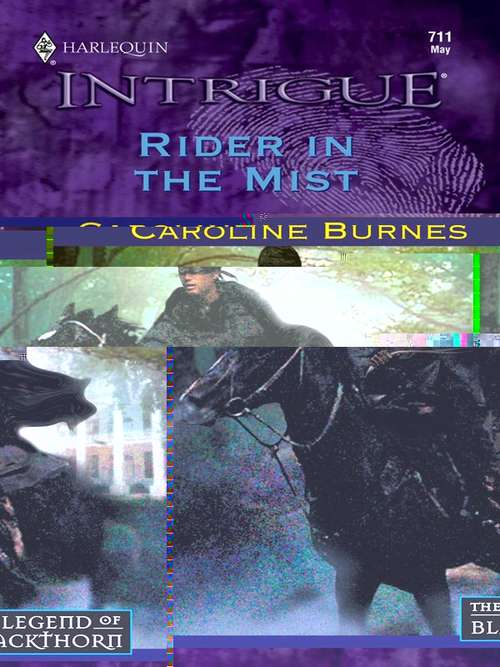 Book cover of Rider in the Mist