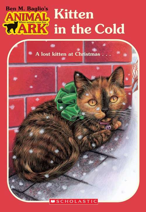 Book cover of Kitten in the Cold (Animal Ark #13)