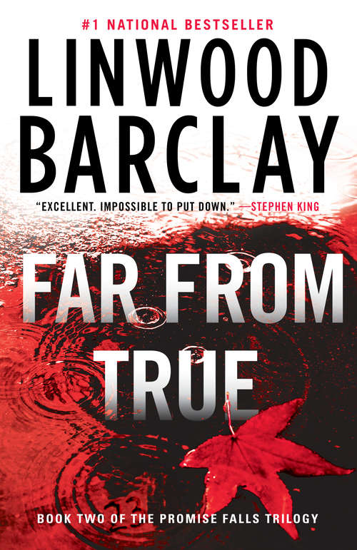 Book cover of Far From True: A Promise Falls Novel